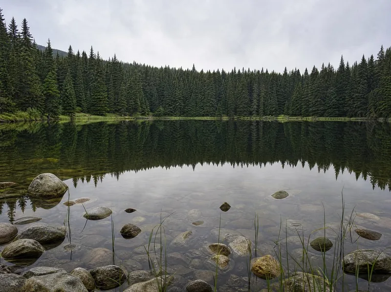 A still mountain lake in a bowl of spruce forest, the far shore reflected